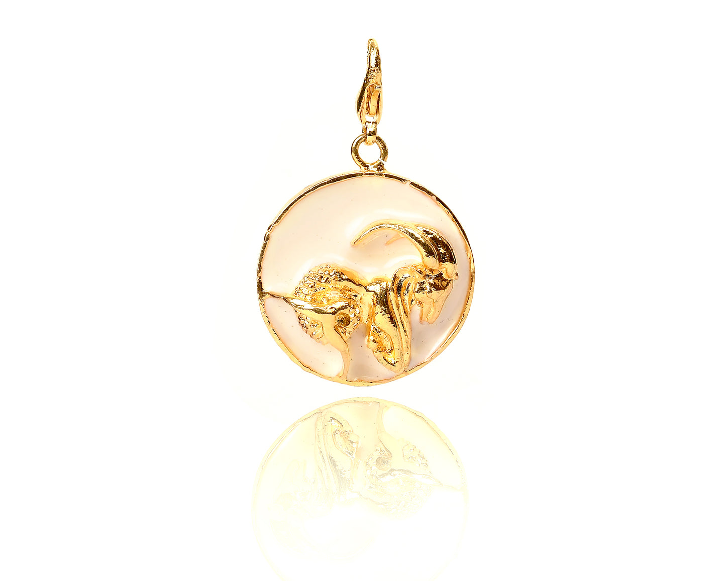 PEPSI KALWANI IN CHARMS NECKLACE